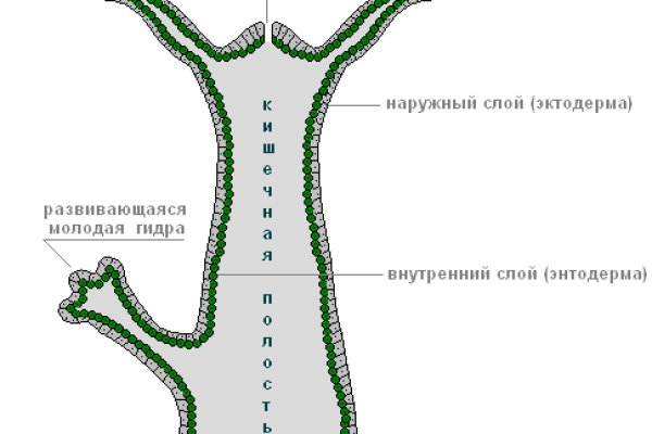 Что с кракеном сайт на сегодня