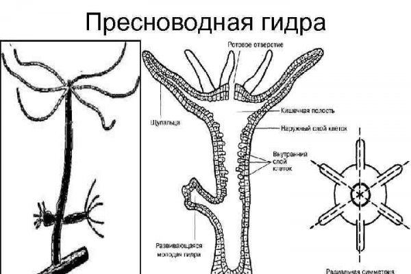 Украли аккаунт на кракене даркнет